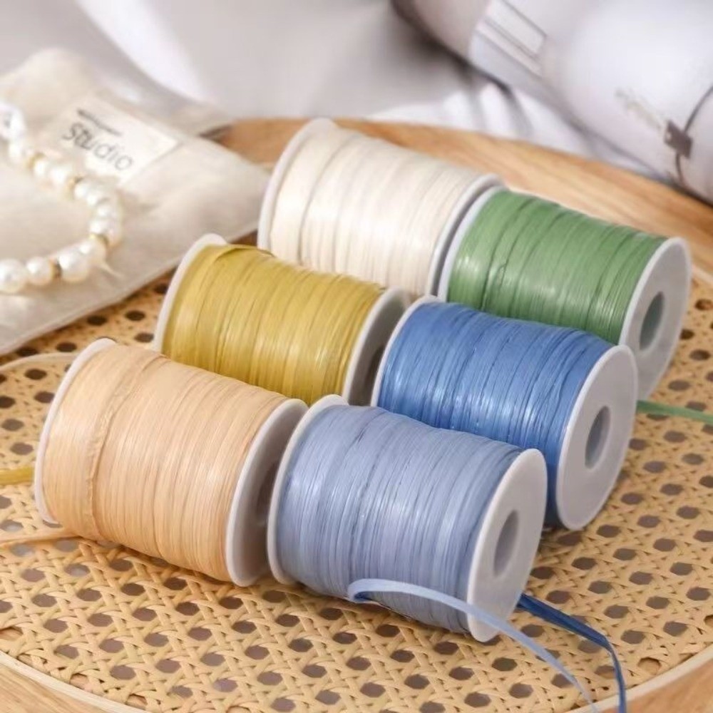 High Quality Premium Quality 1 - Crochet Bag Raffia 评论和价格